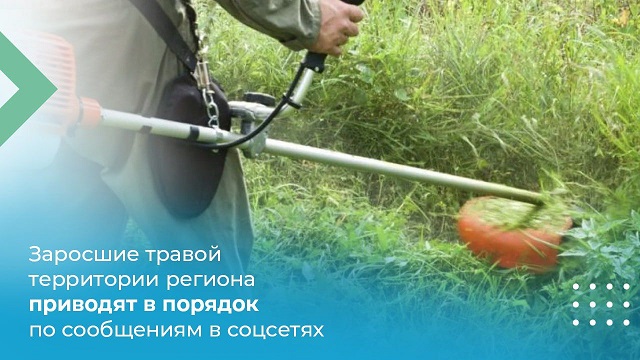 IMG 20230811 WA00021