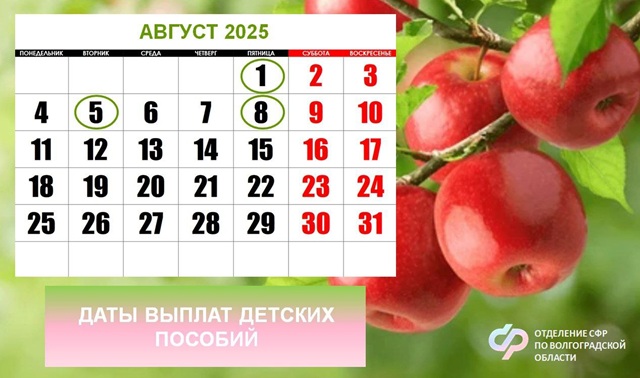 В августе Отделение Соцфонда по Волгоградской области заранее выплатит детские пособия